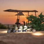 结果_882687741_image2