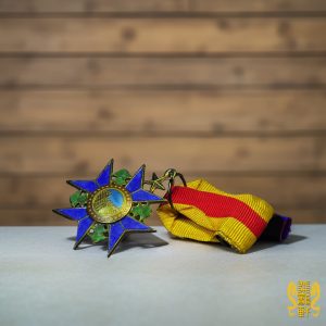 干城奖章乙种一等（襟绶）